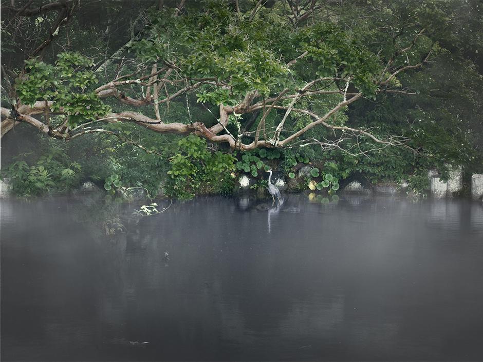 Kyoto I
