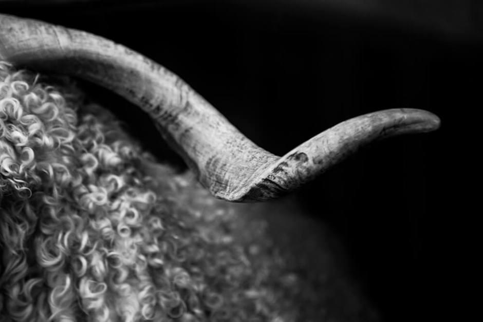 Mohair - Bukk II