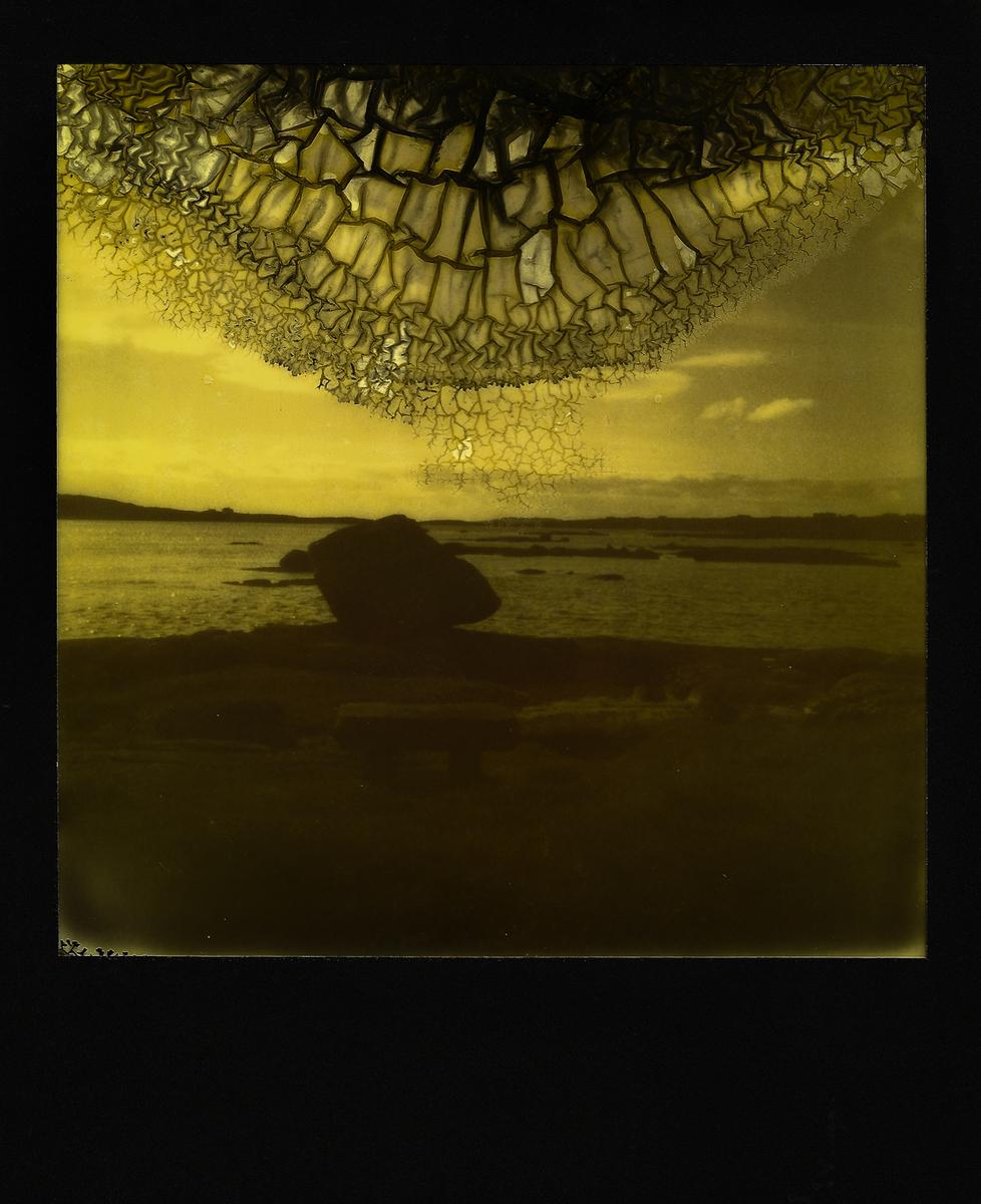 Irish Yellow Decay No.3