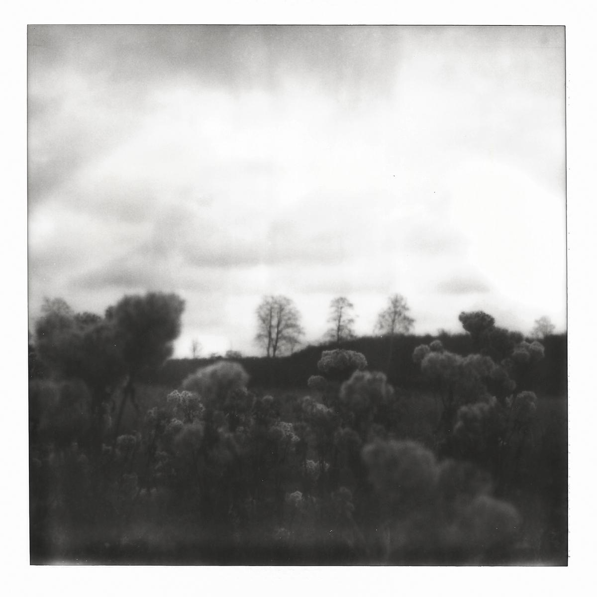 Testprint - Autumn in North Zealand