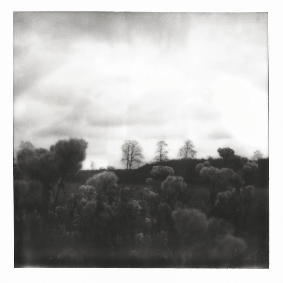 Testprint - Autumn in North Zealand