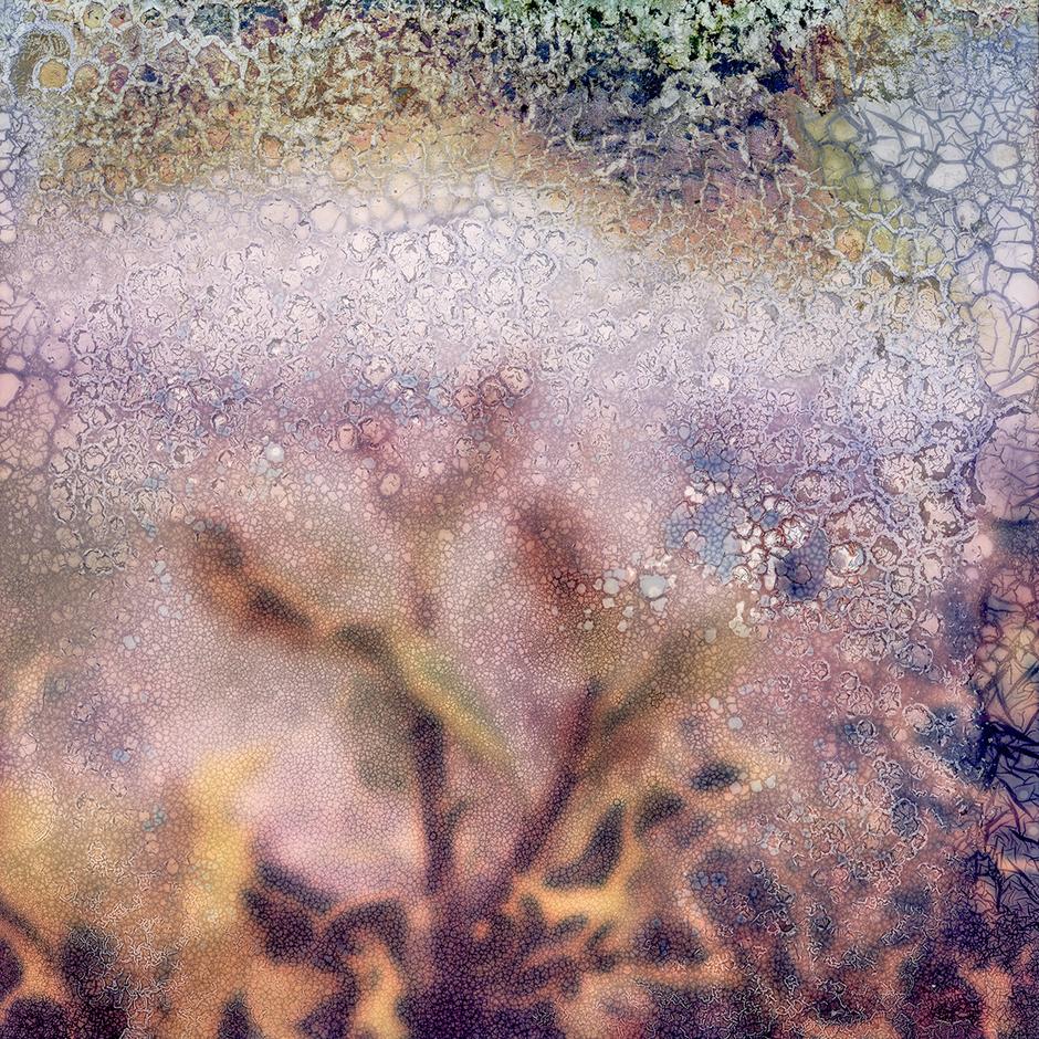 Grasses