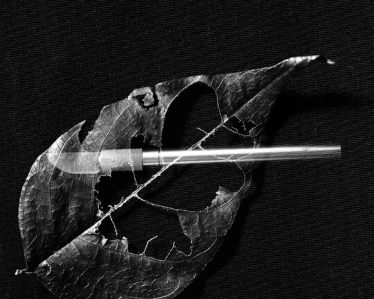 More somehow #101