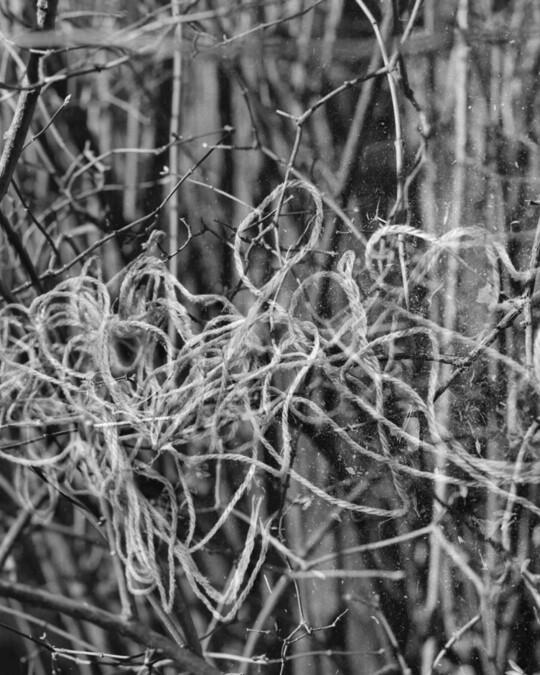 More somehow #115