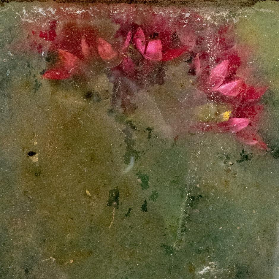 Red Crown