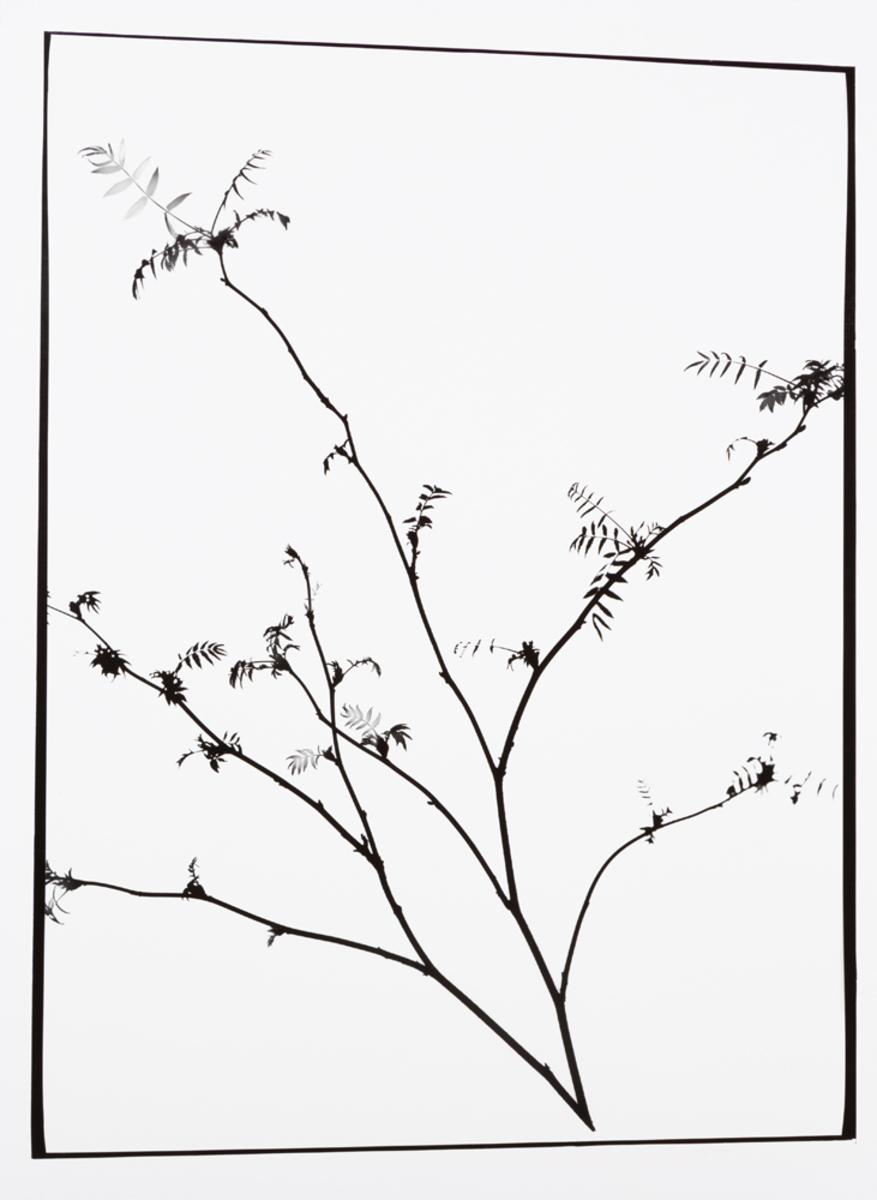 Naturlig Form IX