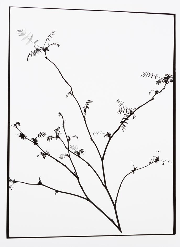 Naturlig Form IX