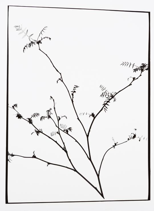 Naturlig Form IX