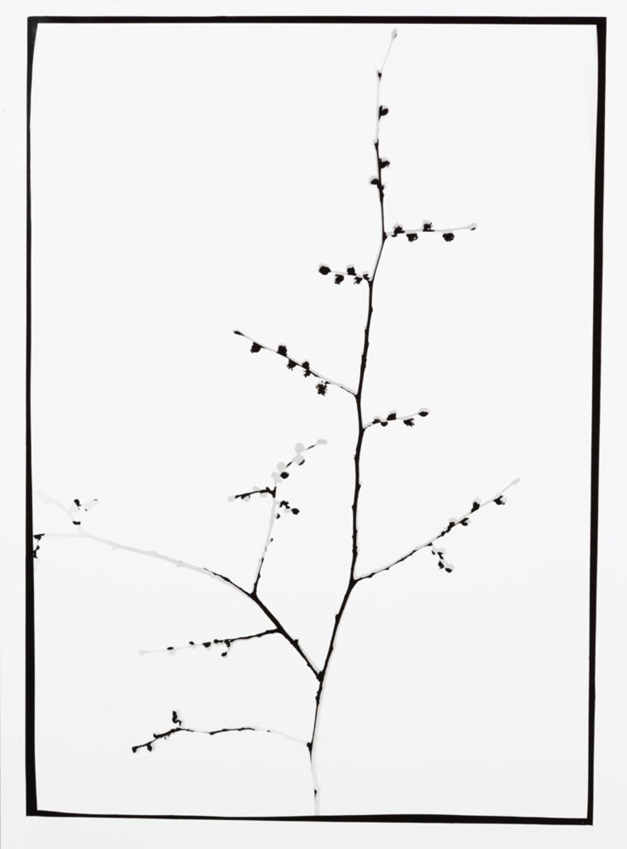 Naturlig Form