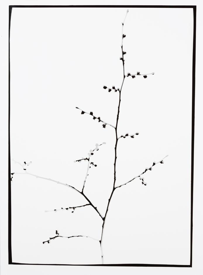 Naturlig Form