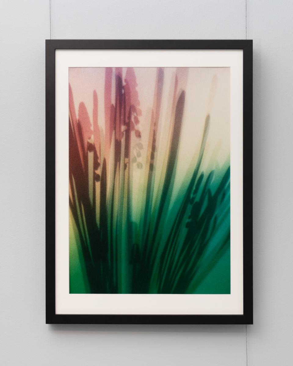 Form - Perleblomst, image 2