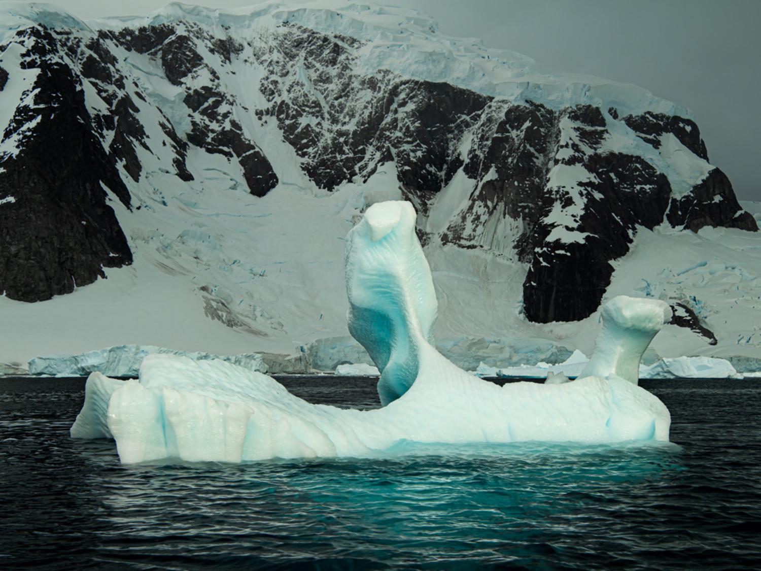 Sculpture of Ice