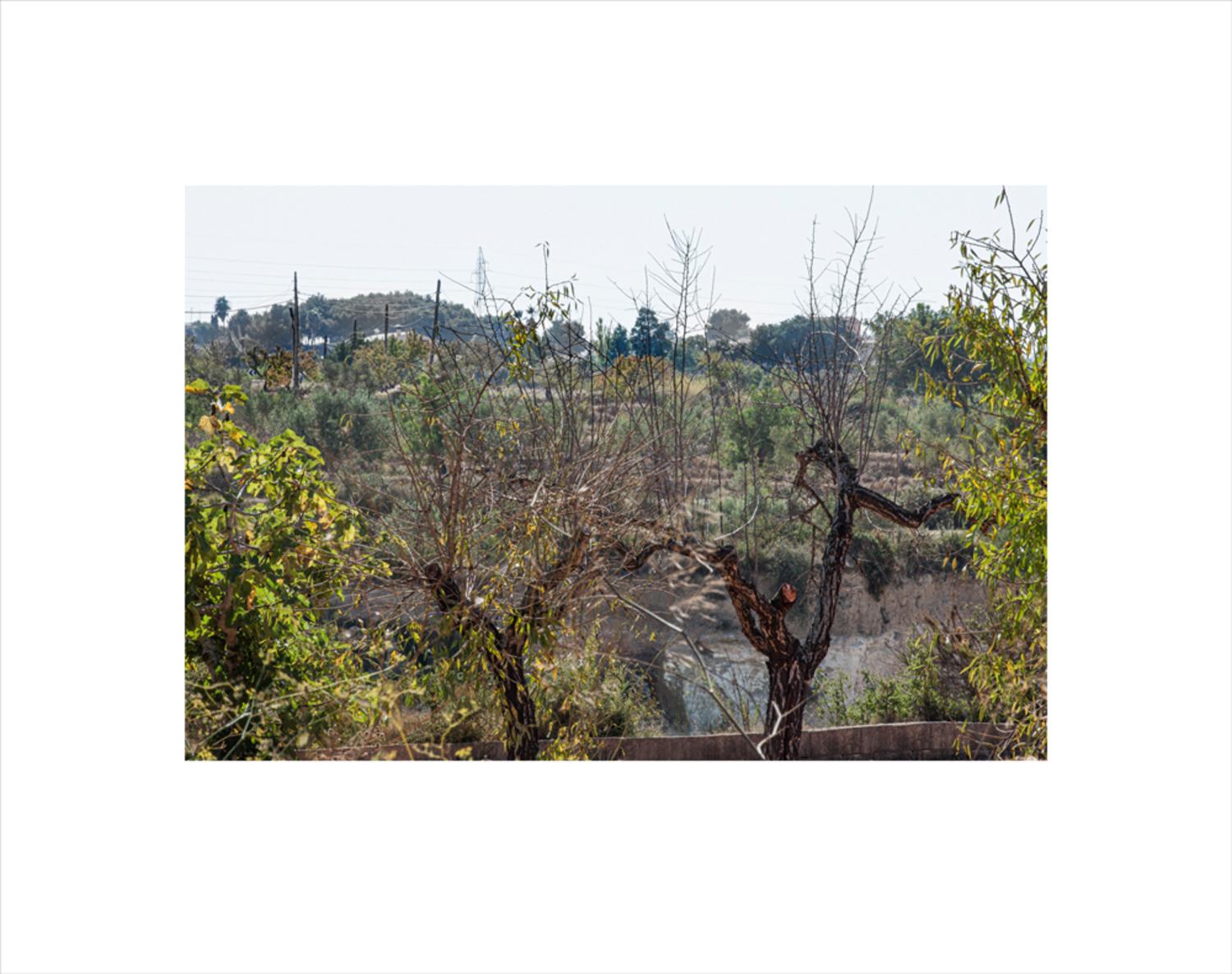 Langs veien