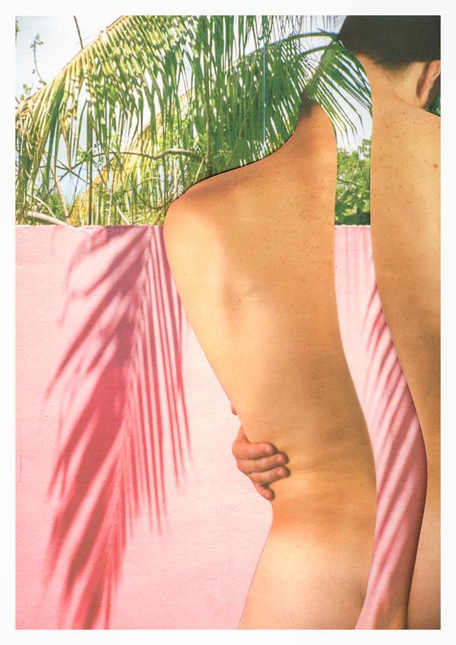 Pink Palm