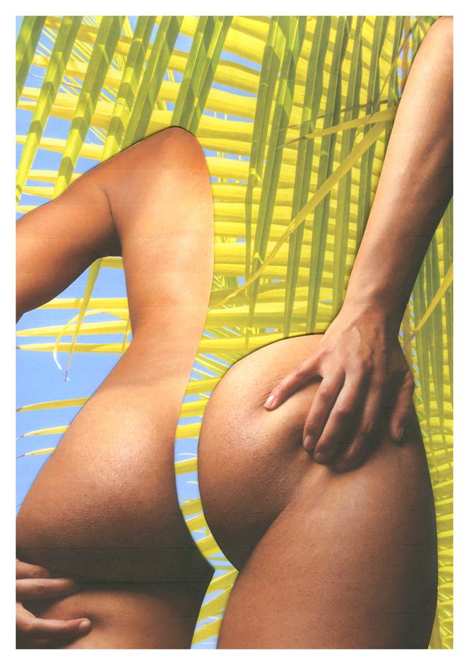 Palm Tree Bum