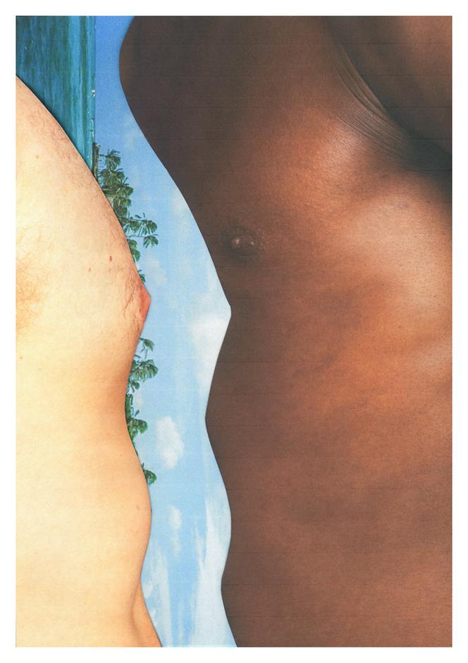 Island Nips