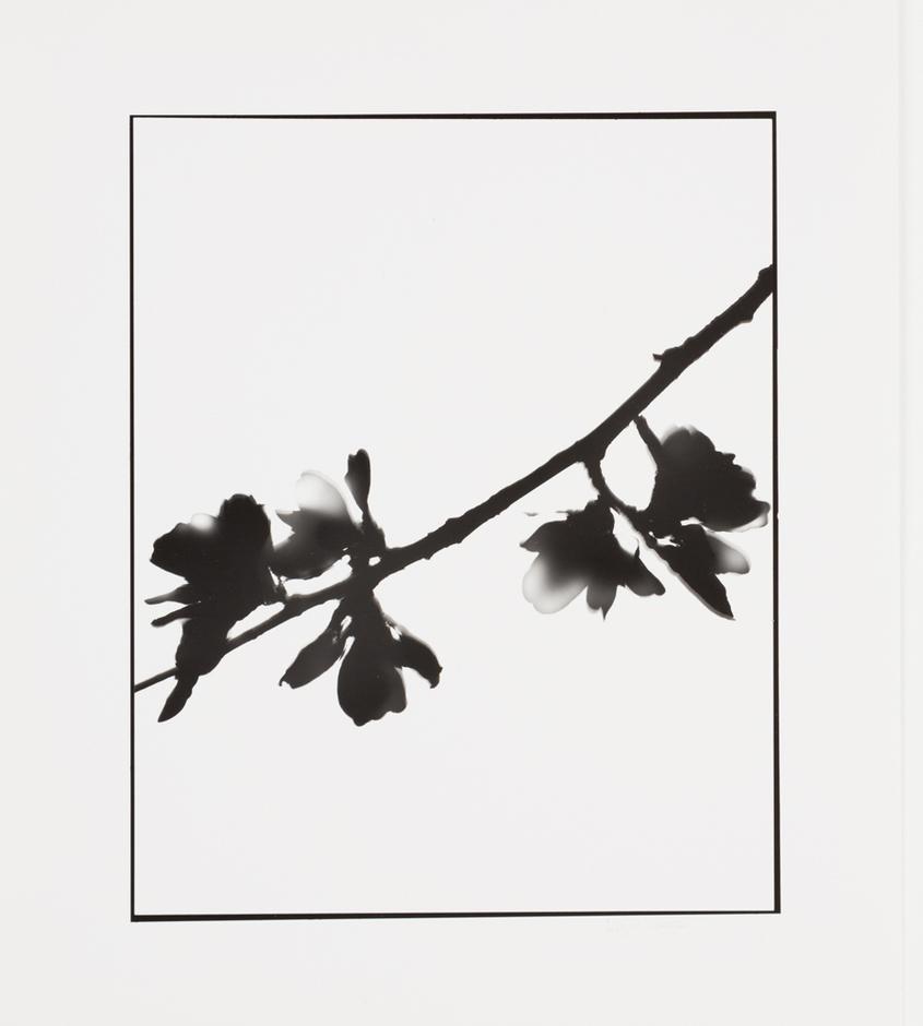 Naturlig Form #16