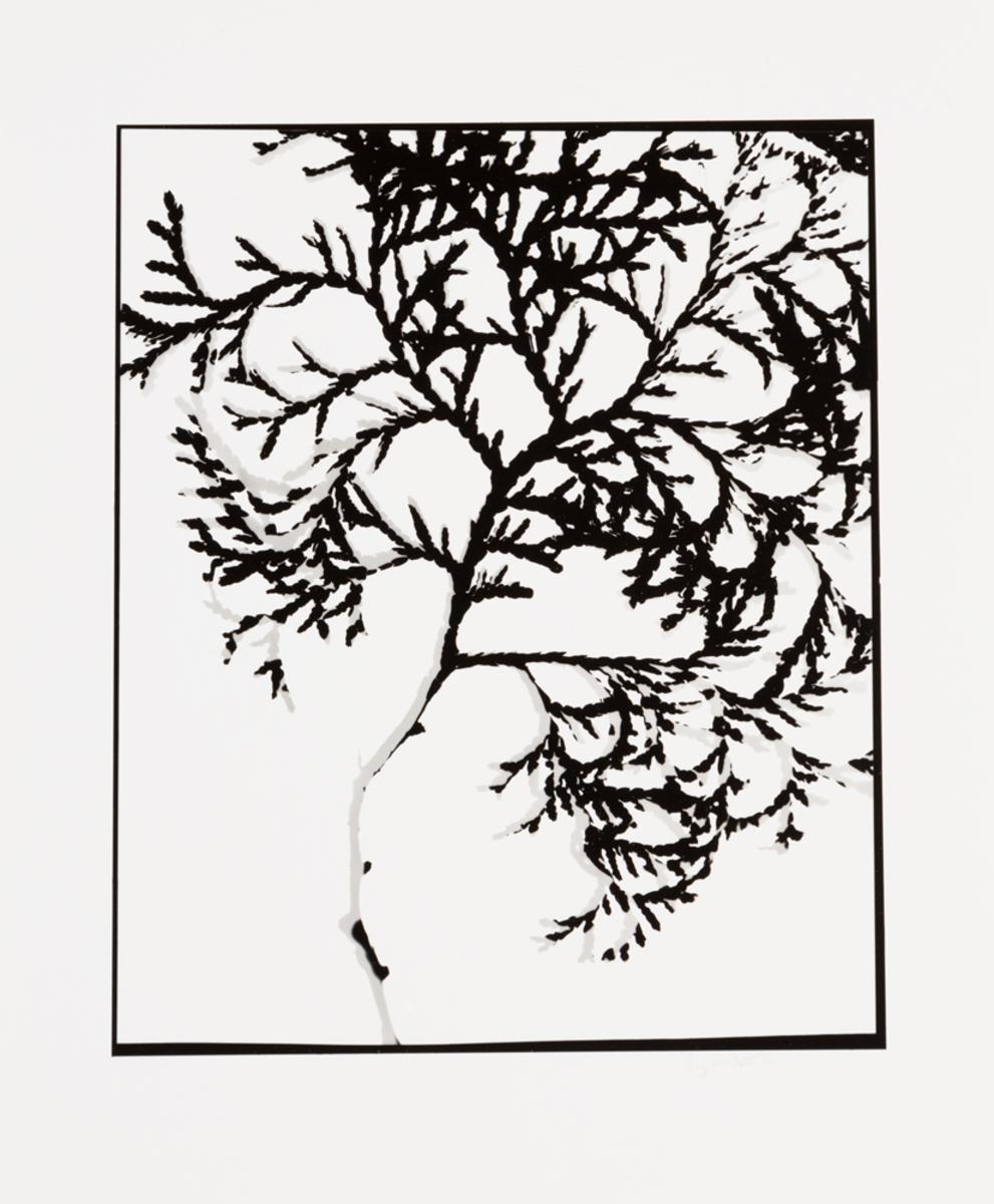 Naturlig Form #2