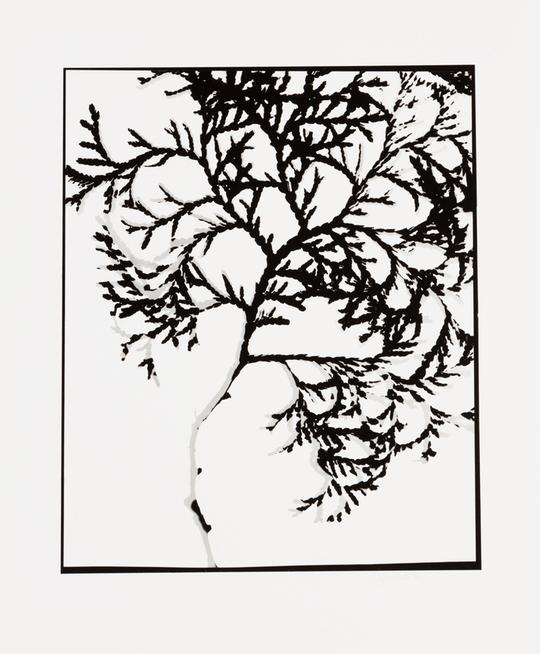 Naturlig Form #2