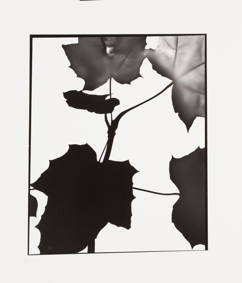 Naturlig Form #10