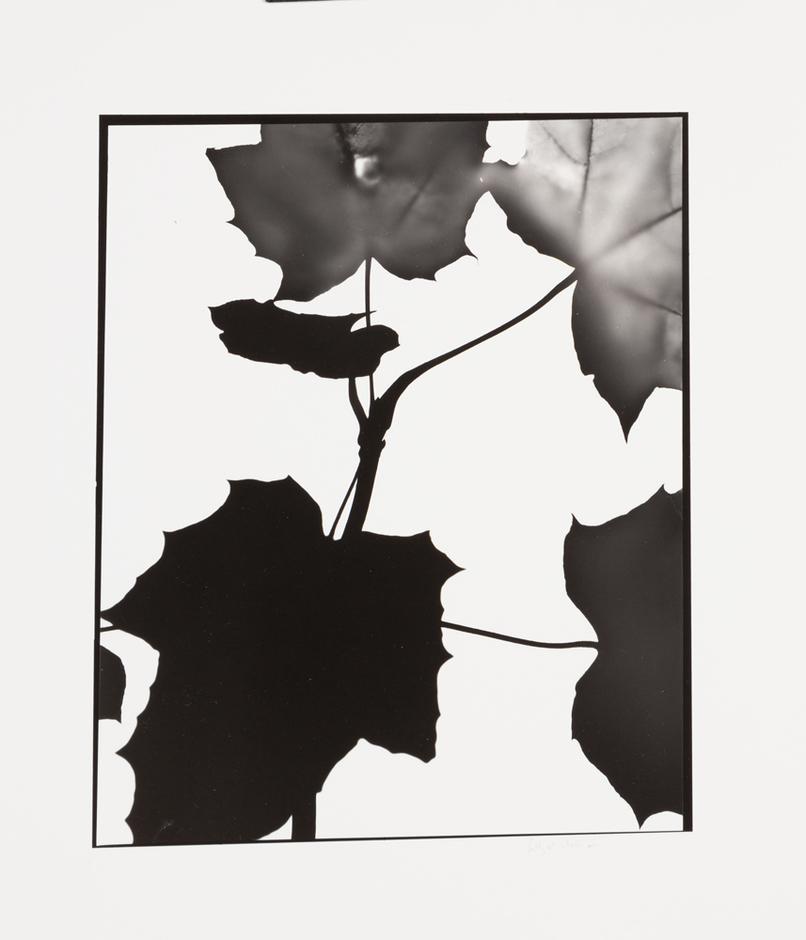 Naturlig Form #10