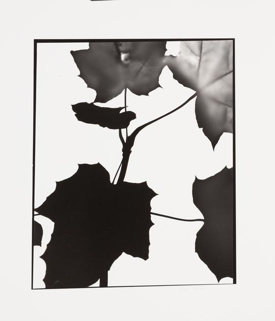 Naturlig Form #10
